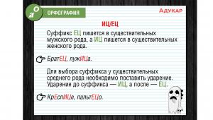 Несколько правил, как выучить русский язык быстро и эффективно